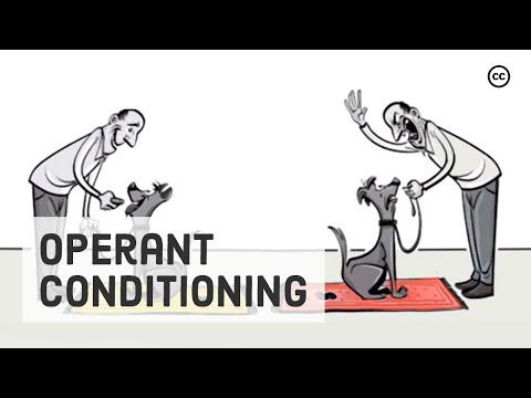 the theory of operant conditioning was developed by