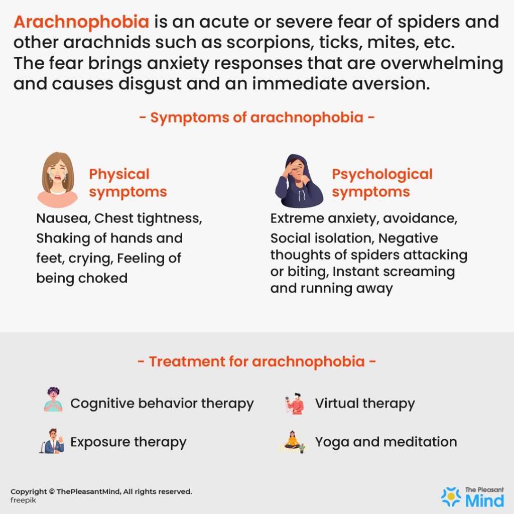 Arachnophobia – Symptoms, and Treatment
