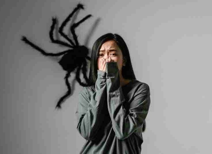 Arachnophobia (Fear of Spiders) – Signs, Causes, and Treatment