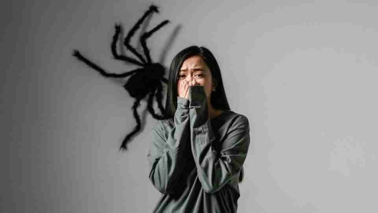 Arachnophobia Fear Of Spiders Signs Causes And Treatment 6120