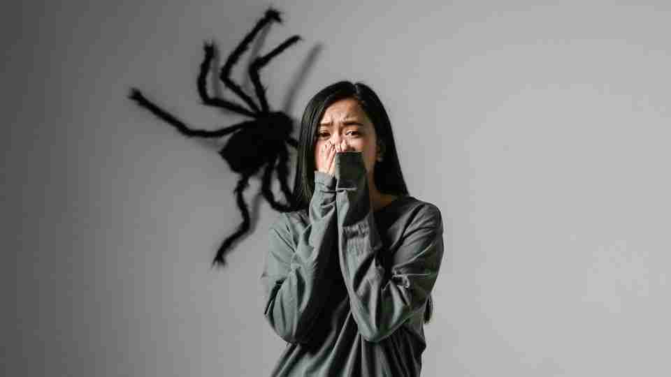 Arachnophobia (Fear of Spiders) – Signs, Causes, and Treatment