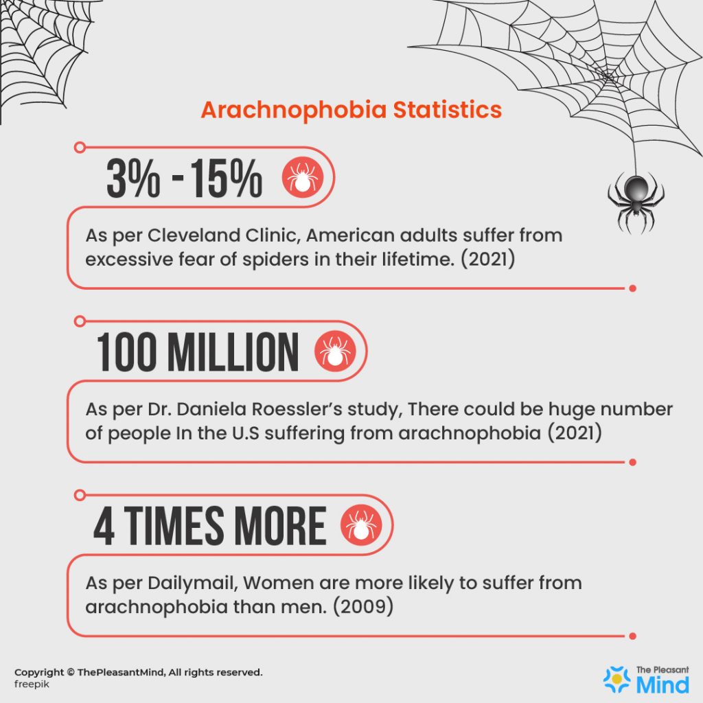 How Many People Have Arachnophobia? Understanding The Fear Of Spiders