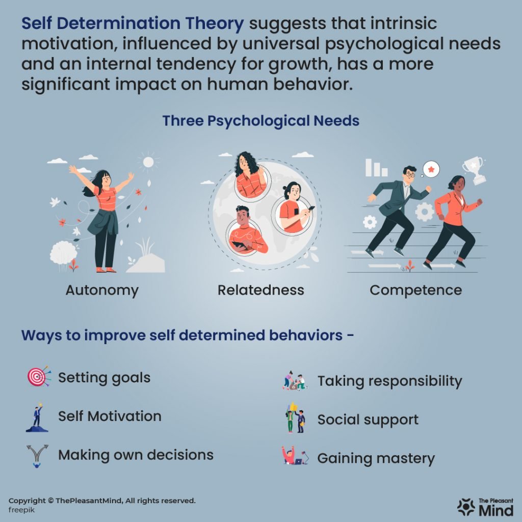 Self Determination Theory Of Motivation Understanding Motivation Through Needs And Intrinsic Drives