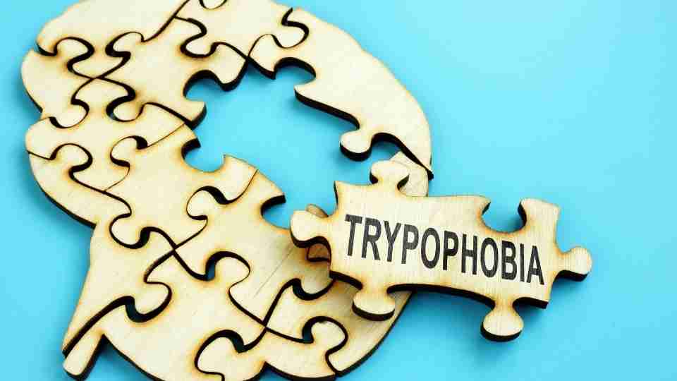 Trypophobia: Why a fear of holes is real – and may be on the rise