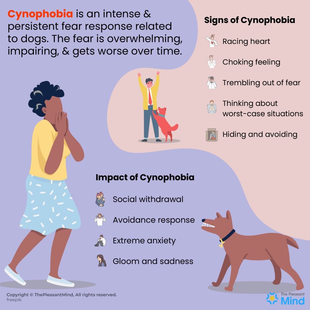 Cynophobia - Meaning, Symptoms, Causes & Treatment