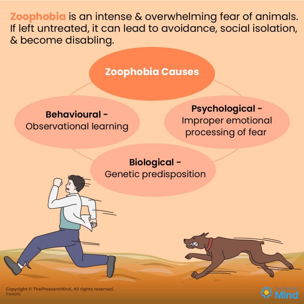 Zoophobia (Fear of Animals) - Definition, Symptoms, Causes, and Treatment
