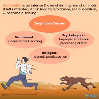 research papers on animal phobia