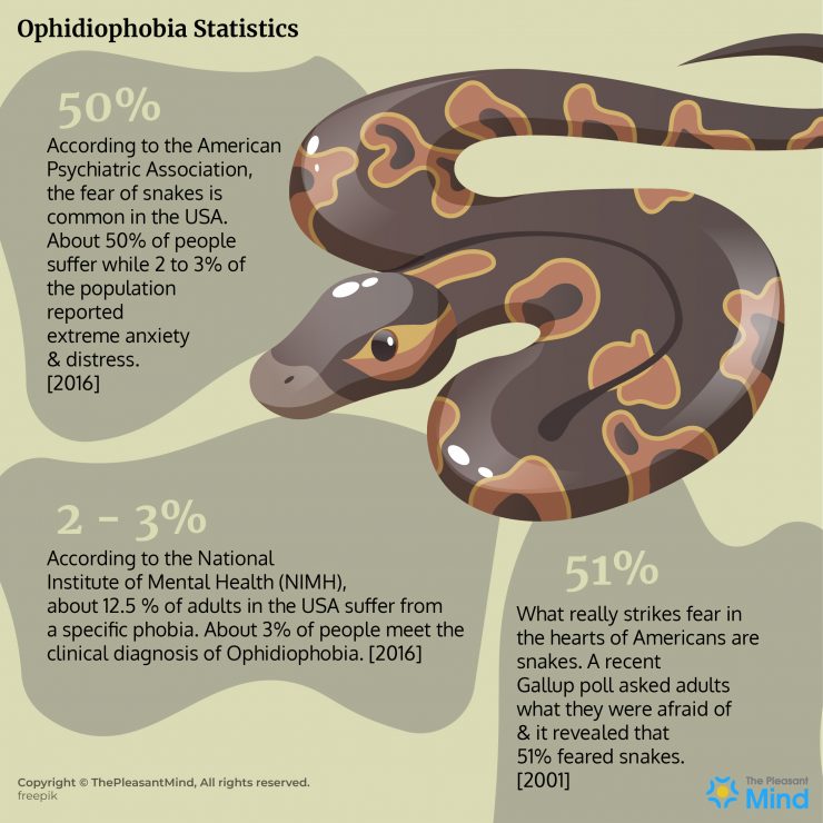 Ophidiophobia - Meaning, Symptoms, Causes, Treatment & More