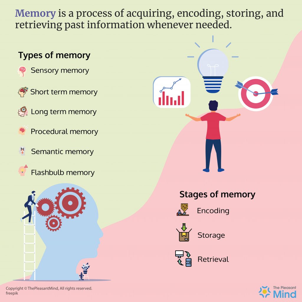 Memory - Definition, Types and Stages